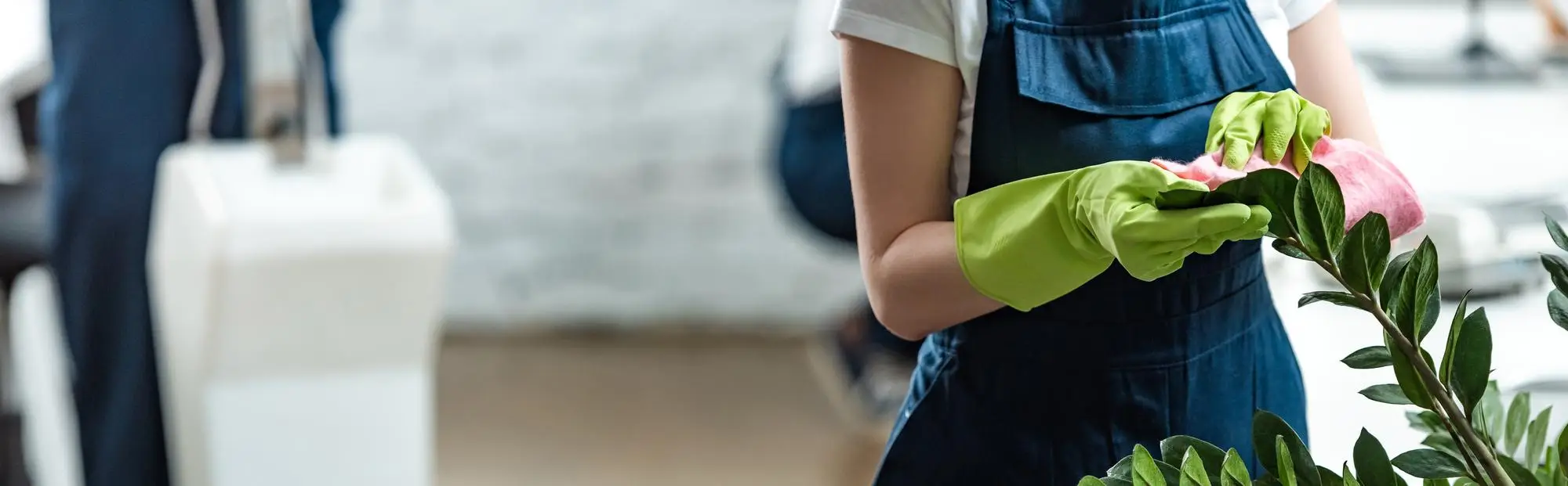 Management Clean Service SAPP Enterprises – Facility Management & Cleaning Services | SAPP ...