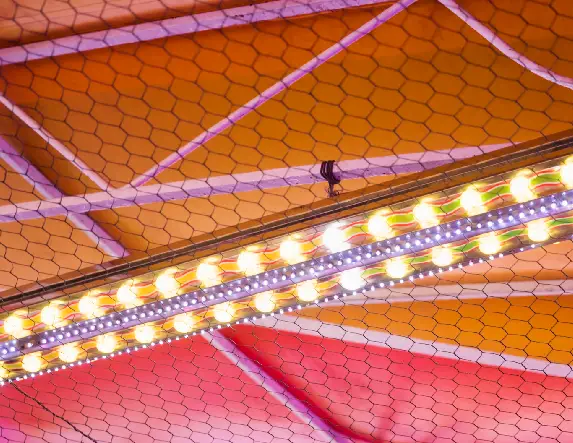 LED Lights & Tube Lights