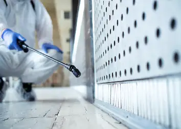 Anti-Termite & Spider Control Treatment