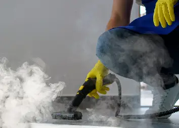 Steam Cleaners